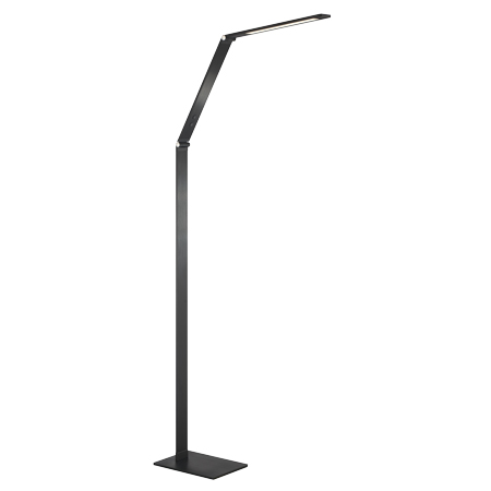 LED Floor Lamp