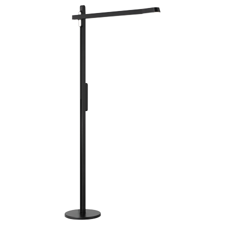 LED Floor Lamp