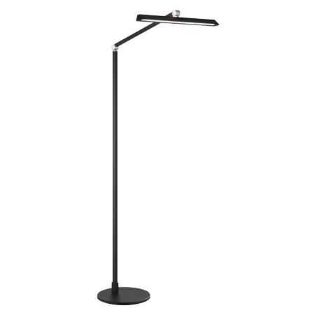 LED Floor Lamp