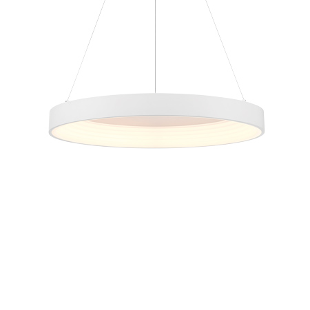 Conc - LED 24" Pendant