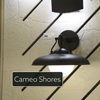 Cameo Shores -  12" 1 Light Outdoor Wall Mount