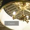 Caprio - 6 Light Pendant